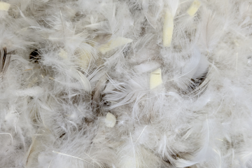 Halbdaune-Schaumstoff-Mischung | 80/20 Entenfedern & Daunen mit 30% PUT-Sticks | 5 kg Sack 