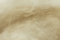 morepic-2